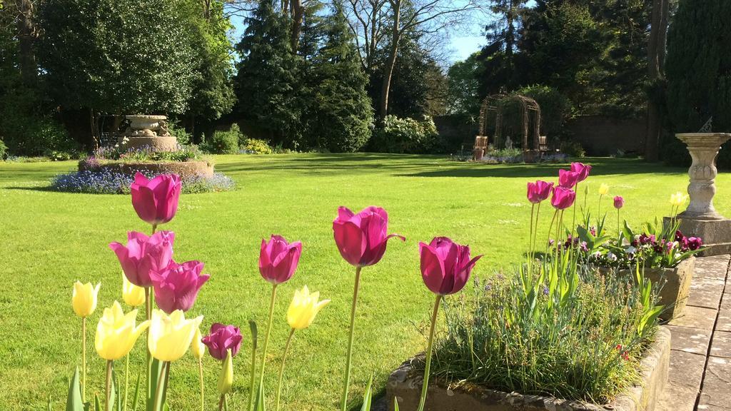 Little Manor Bed and Breakfast Cheltenham Exteriör bild